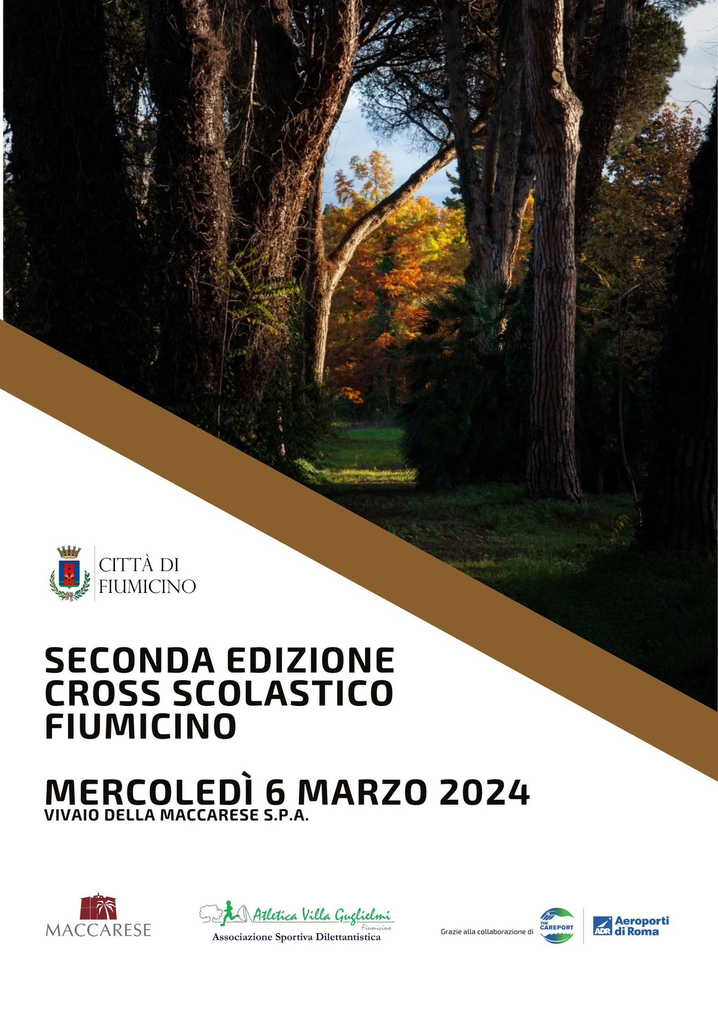 crosscolastico