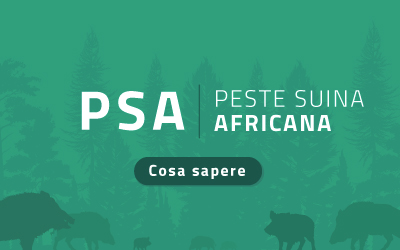 mobile banner PSA 400x250