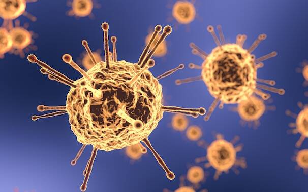 coronavirus 241409