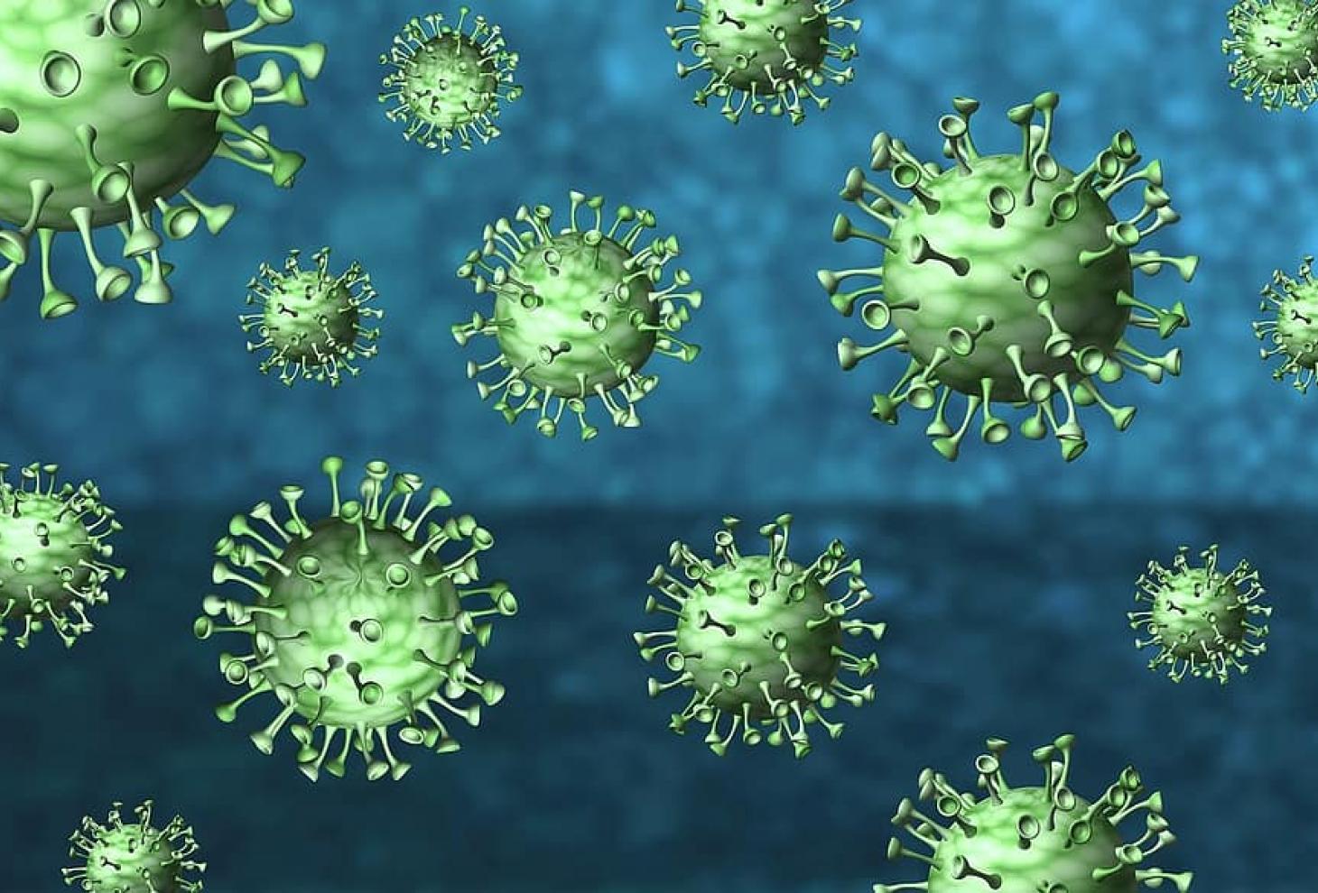 coronavirus corona virus covid 19 disease epidemic pathogen pandemic infection 122