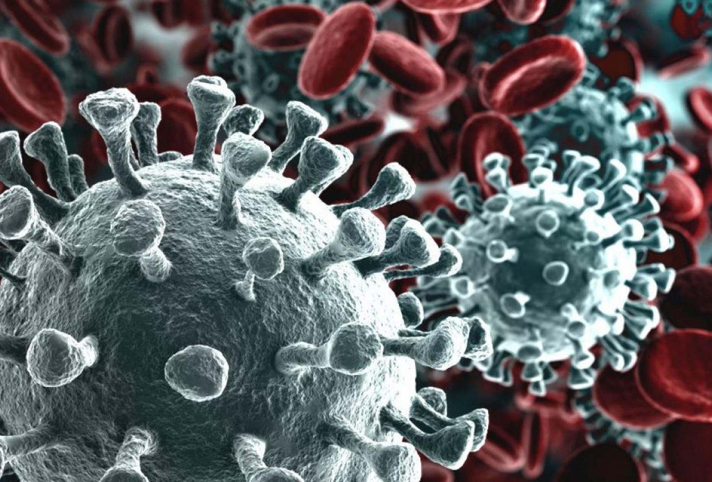 coronavirus d0
