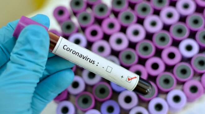 coronavirus provetta