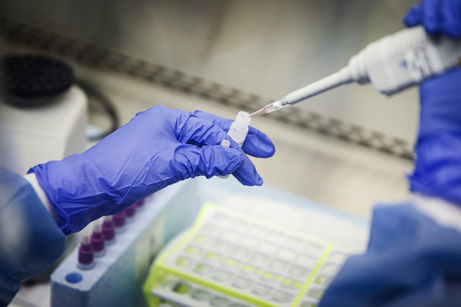 coronavirus report