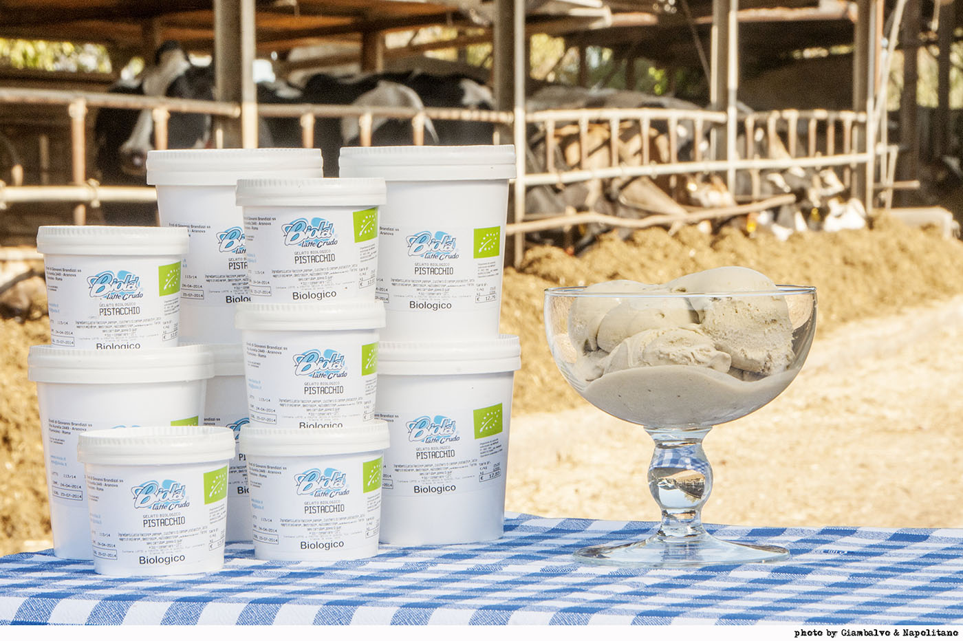 Agrobiogelato