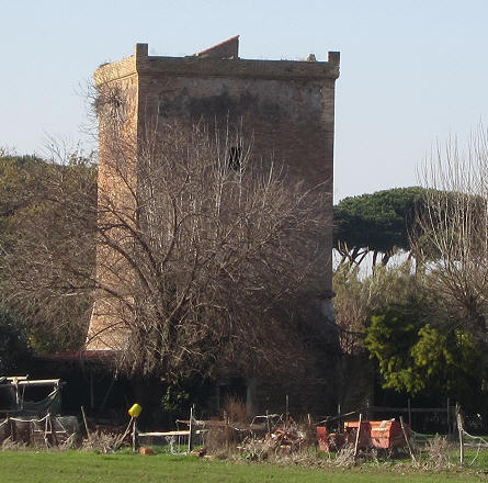 torre nicolina