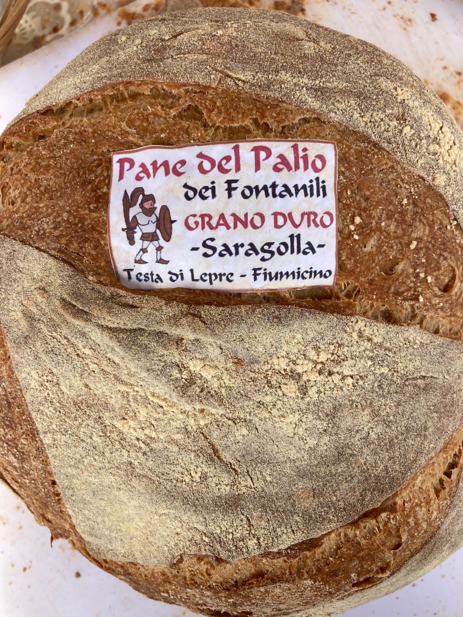pane testa di lepre2