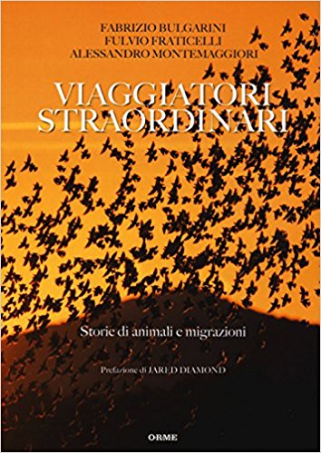 viAGG