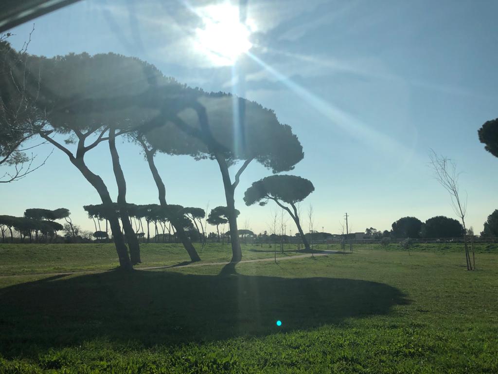 villa guglielmi coronavirus